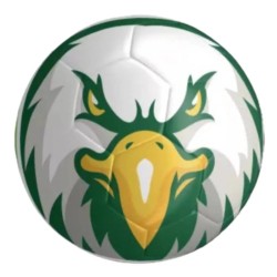 Fradi labda (fehér)